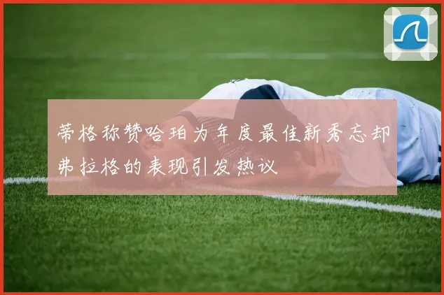 蒂格称赞哈珀为年度最佳新秀忘却弗拉格的表现引发热议
