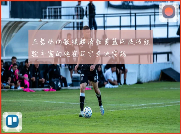 王哲林向张镇麟请教剪篮网技巧经验丰富的他在辽宁多次实践